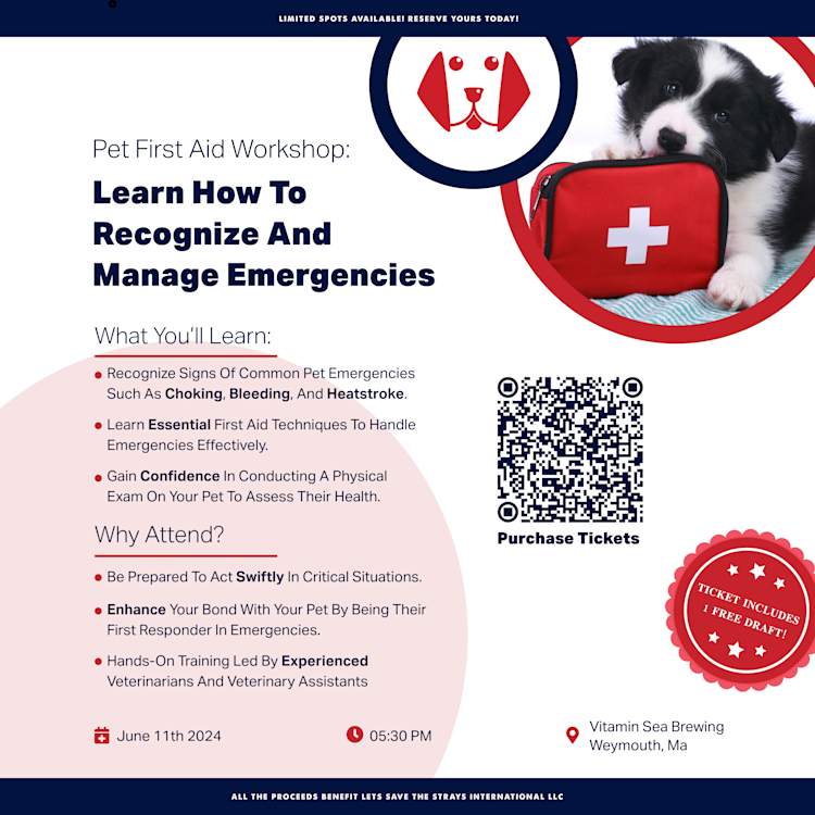 Pet First Aid Workshop - Vitamin Sea Brewing