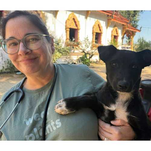 Let’s Save the Strays Featured in the Wayland Post