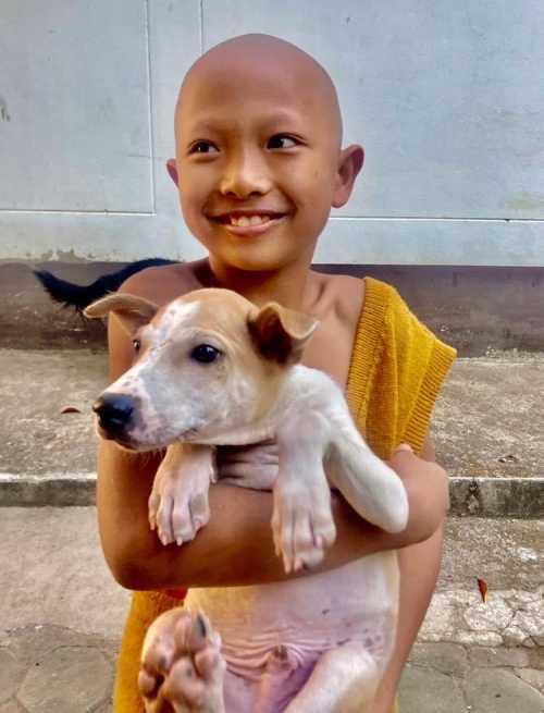 Boy holding dog in Thailand