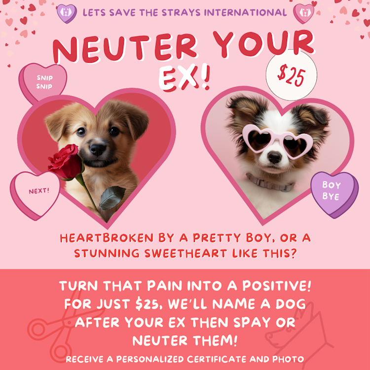 Neuter Your Ex!