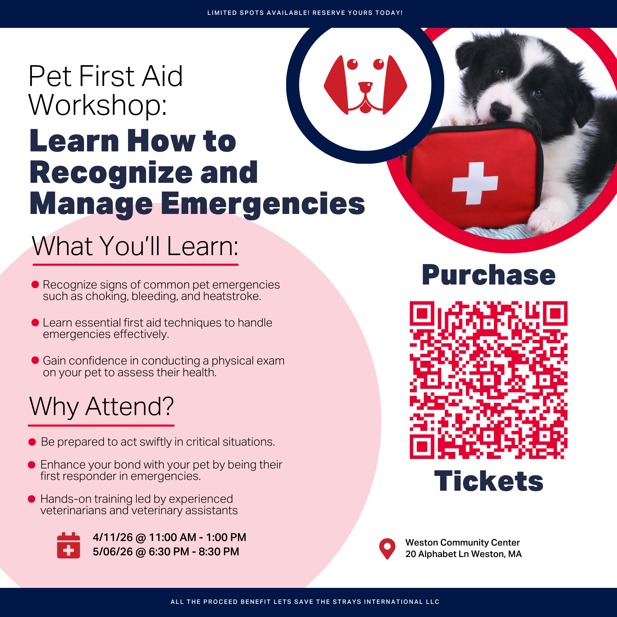 LSTSI - Pet First Aid 2026 (Instagram Post (45) (1080 x 1080 px)