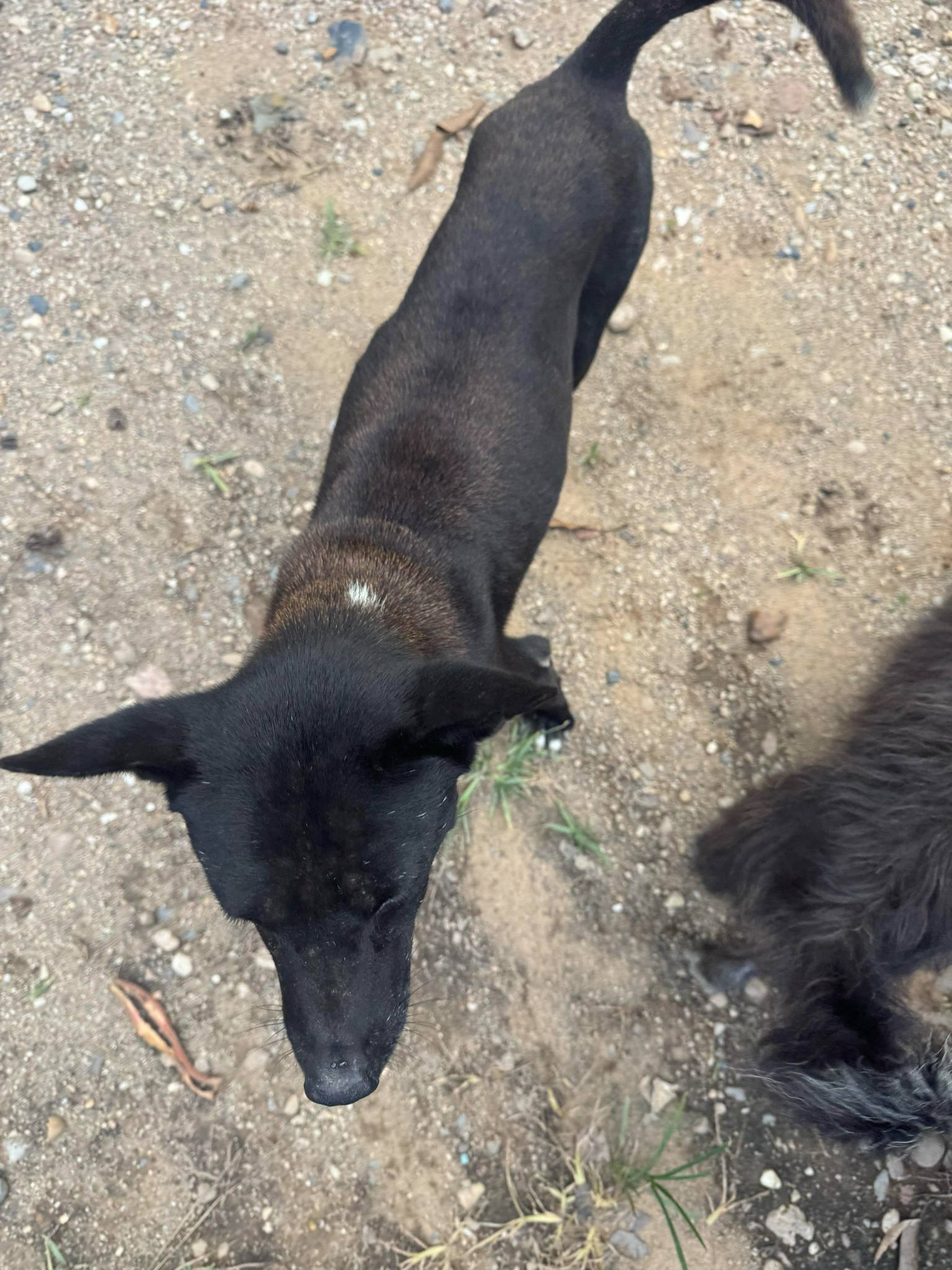 Meet Lam: A Second Chance at Peace