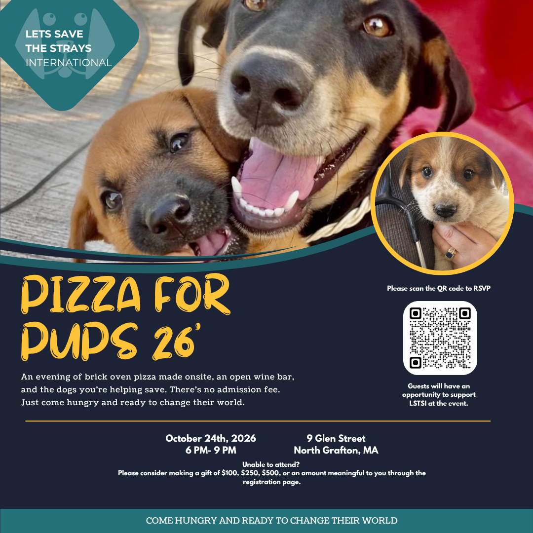LSTSI - Virtual Pizza for Pups (1080 x 1080 px)