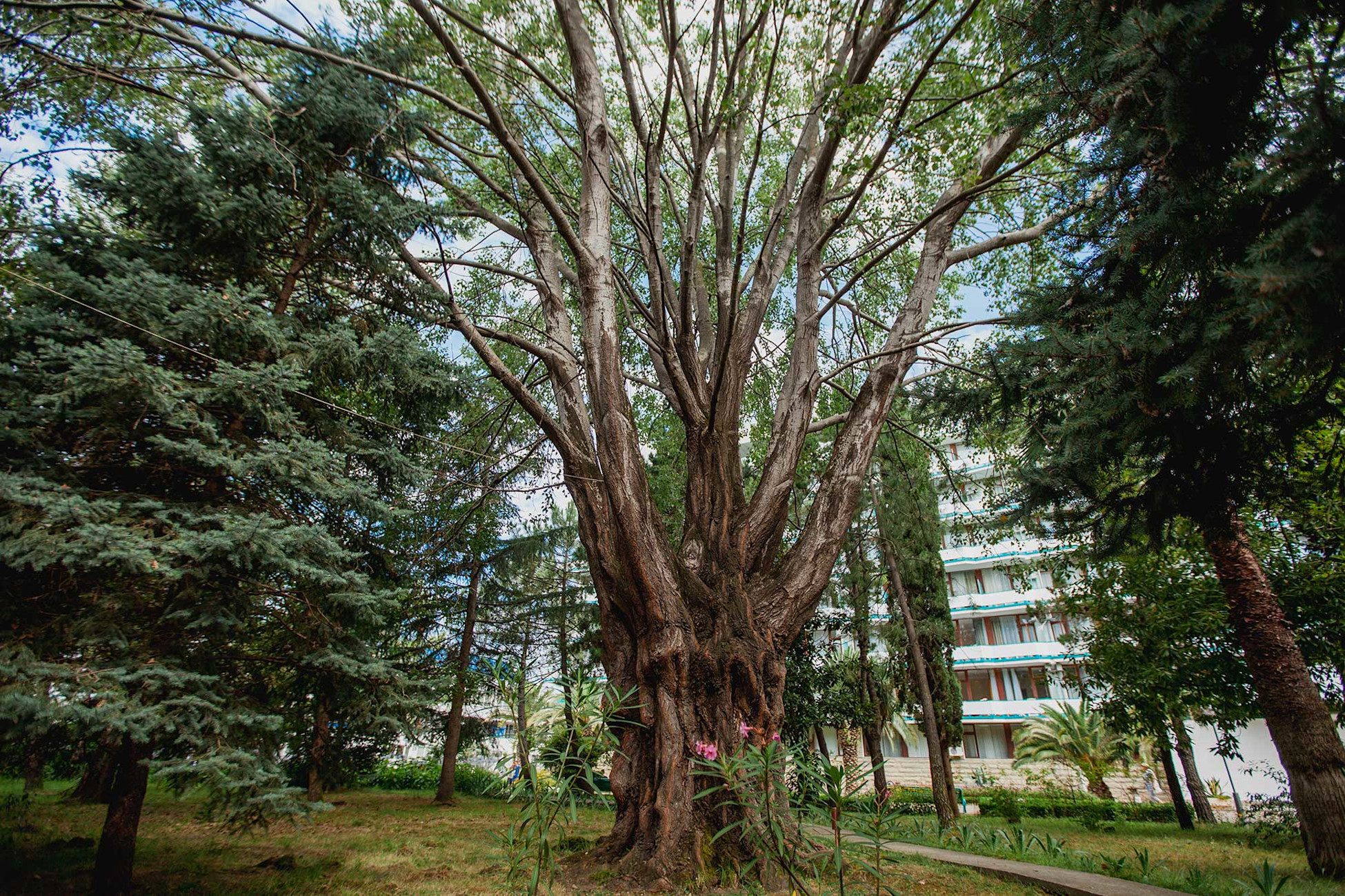 Кэшбэк за путевку №2