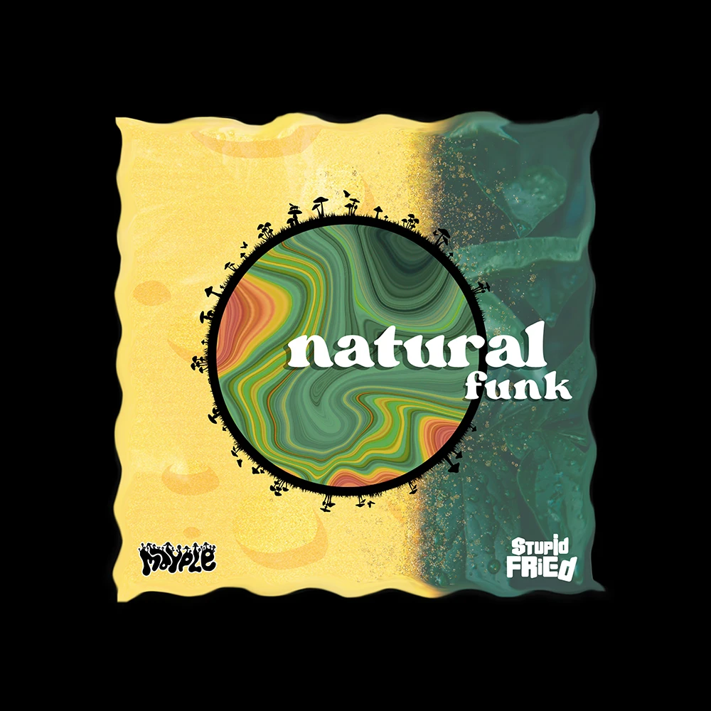 Mayple, Stupid Fried - Natural Funk