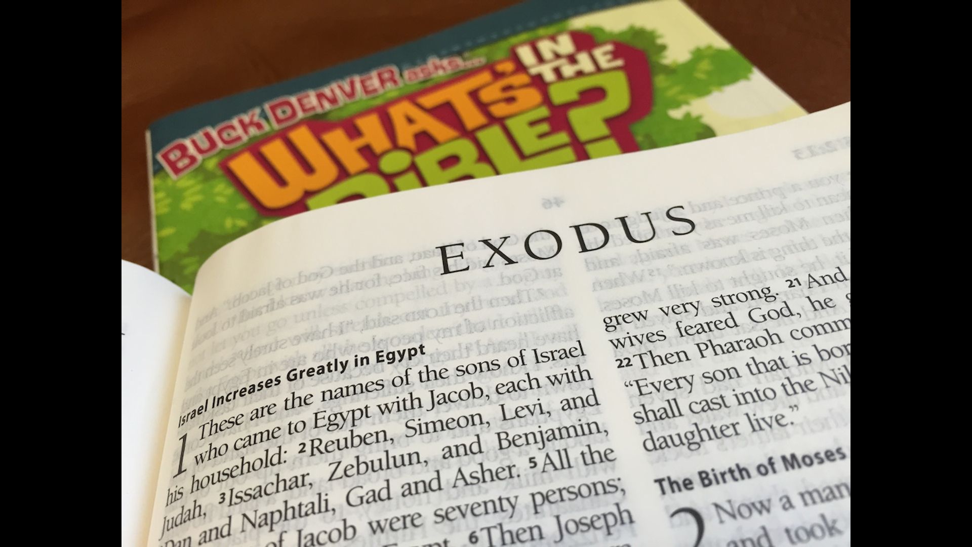 Family Journey Through Genesis & Exodus Hero Image