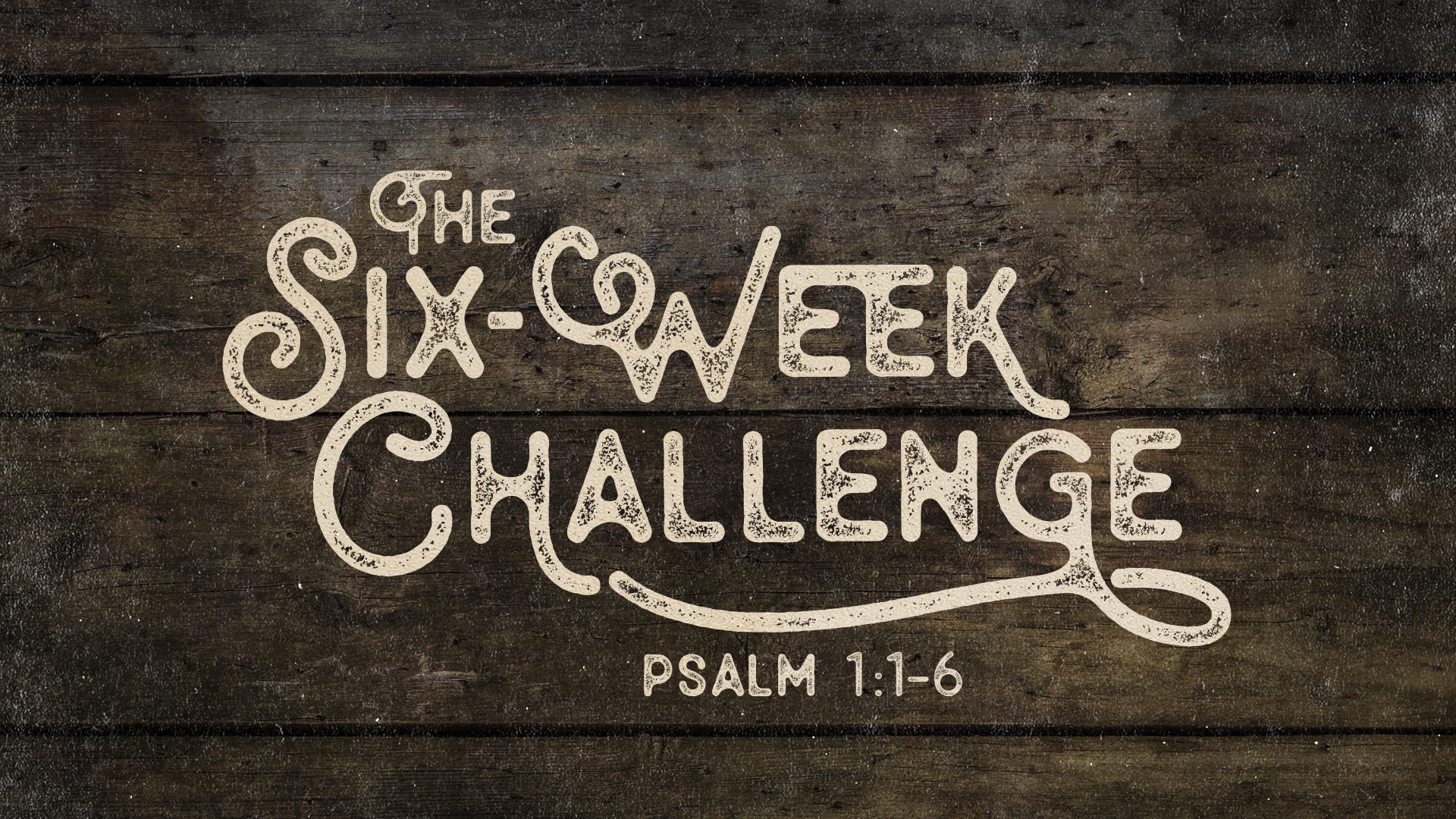 Scripture Memory & Your Family: Thoughts from the 6-Week Challenge Hero Image