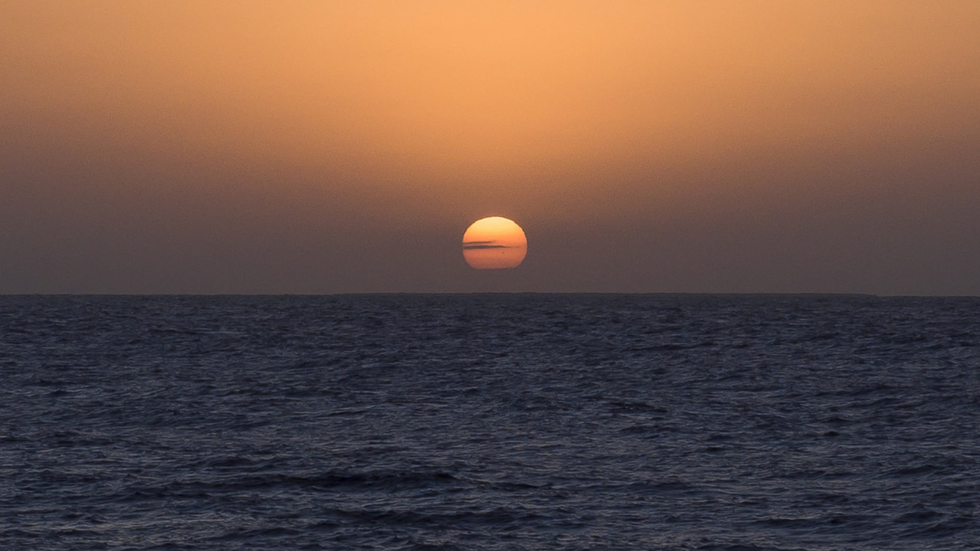 The Red Sea: Three Activities for Preschool Families | Watermark