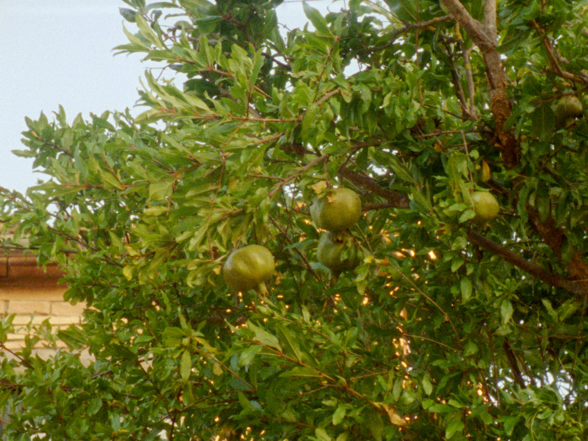 Pictured: Badlands (2023), video stills. Courtesy of the artist and Michael Lett.