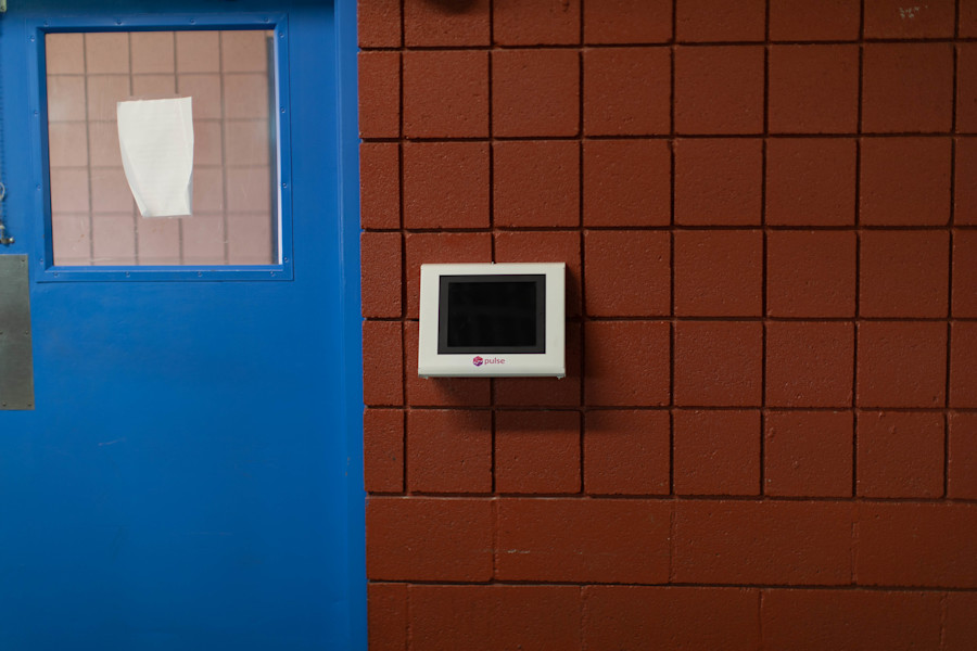 How Weekly Data is Building Trust at SafeNest