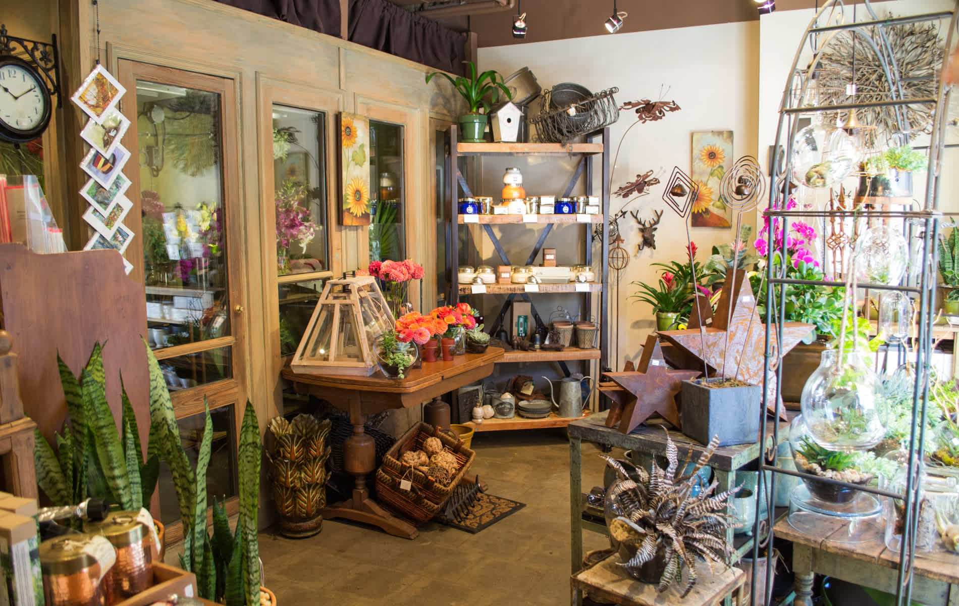 Inside of Garden's Path store