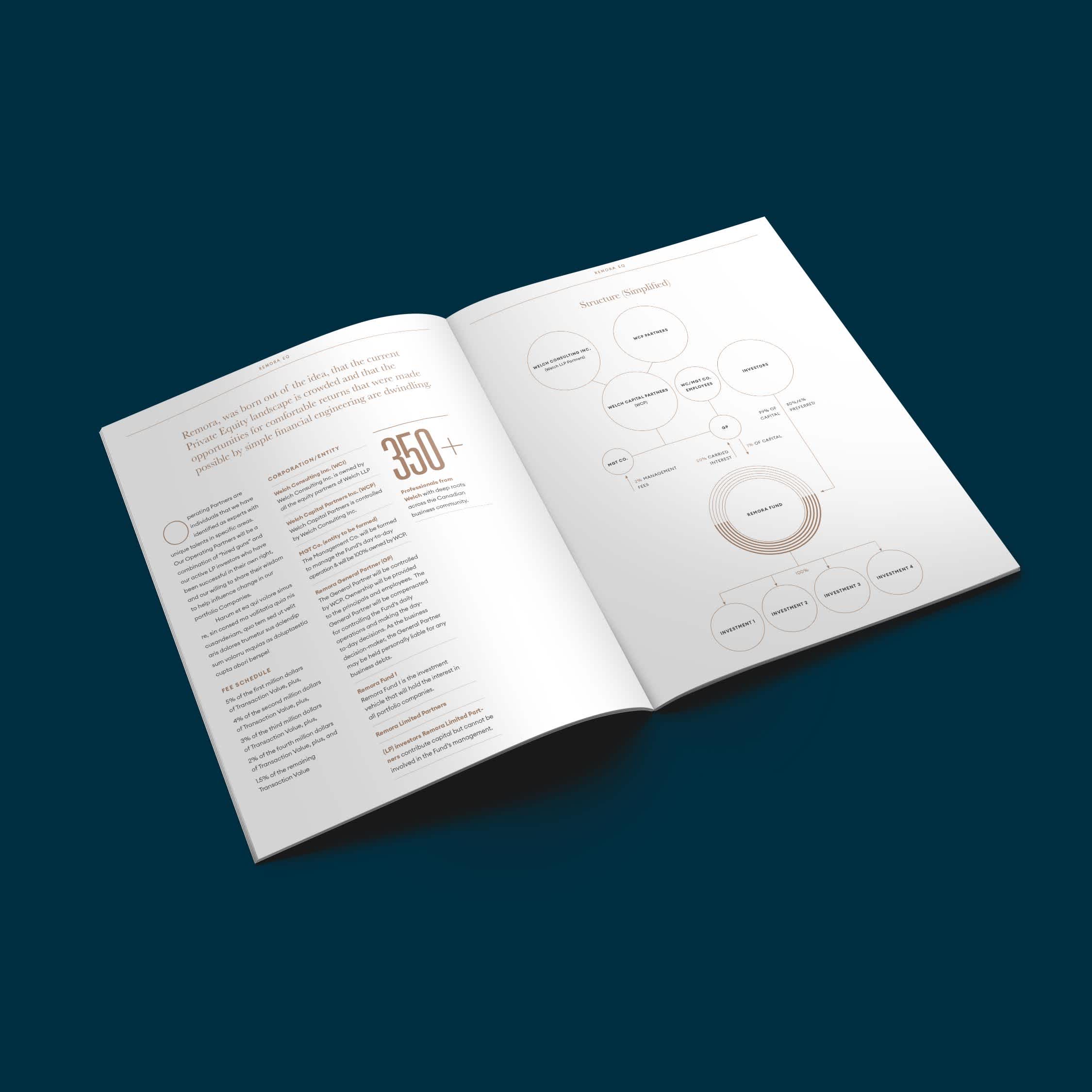 Remora-Report-Mockup Infographic spread