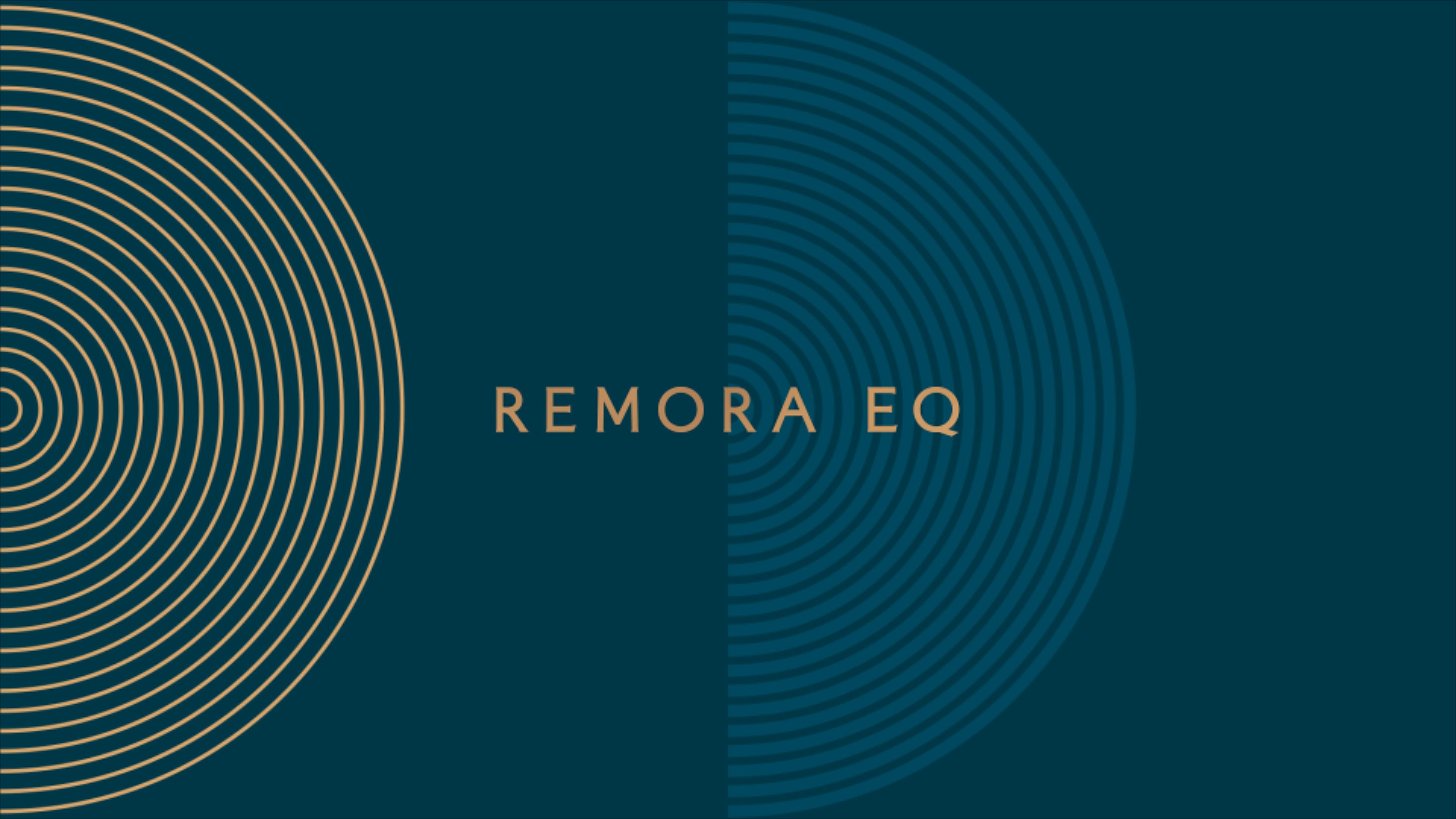 Remora brand with the word mark with blue and gold semicircles.
