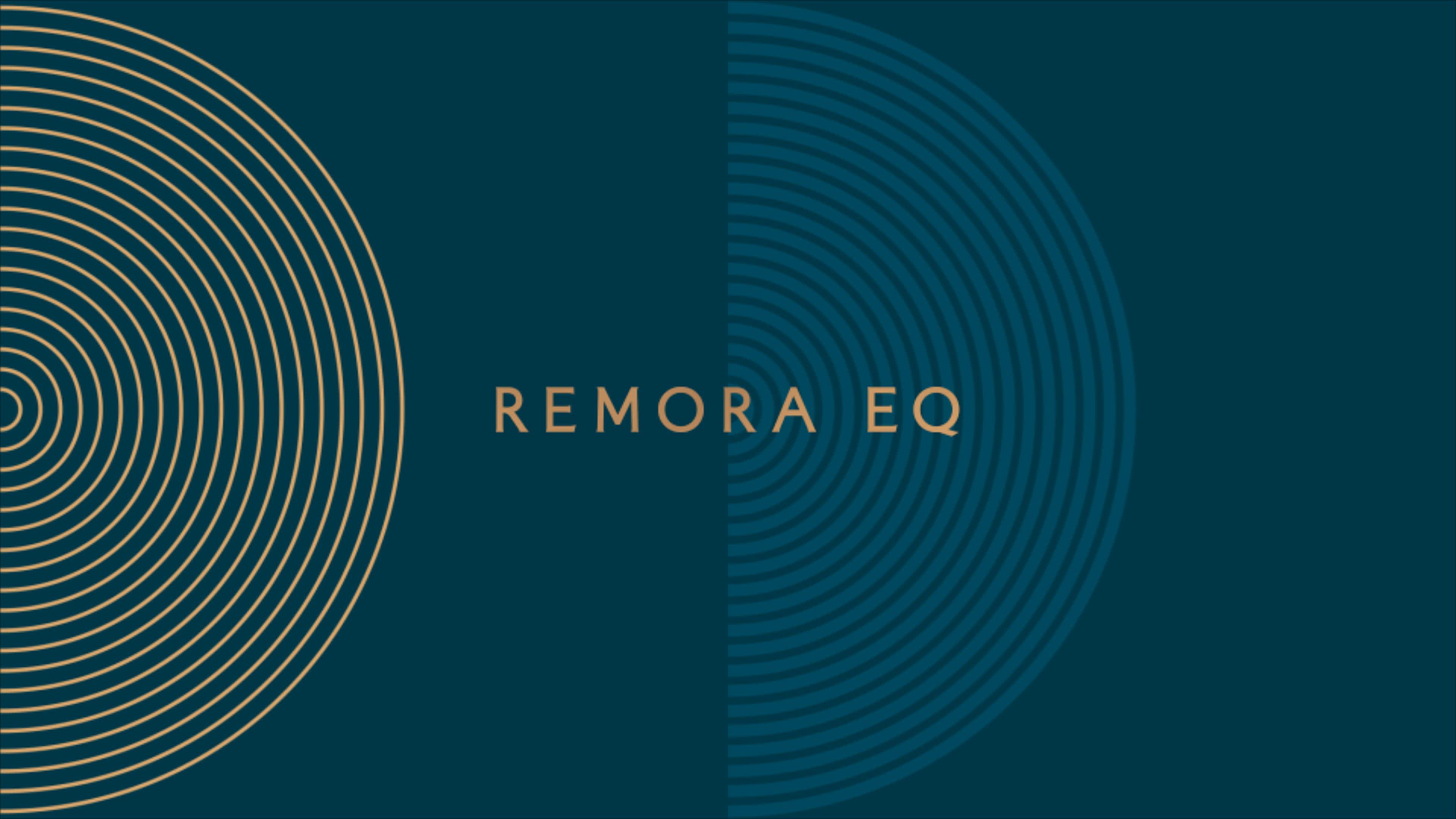 Remora brand with the word mark with blue and gold semicircles.
