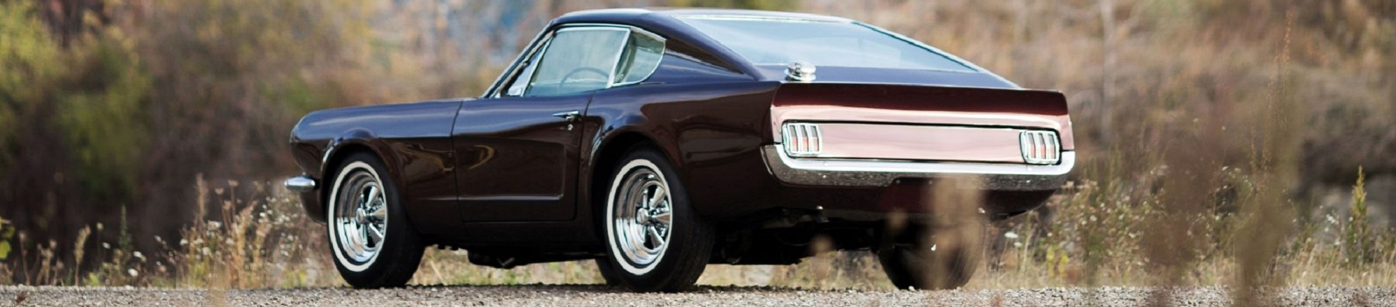 Ford_Mustang_III_Shorty__2__b.jpg