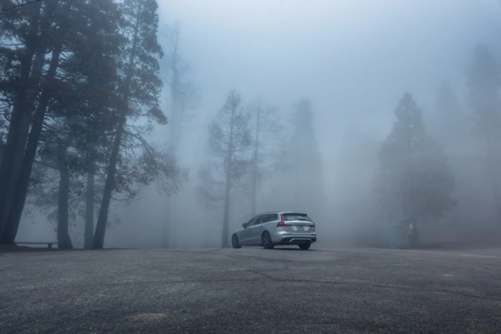 Architecture Rally: A California Road Trip - Volvo V60 in the Woods