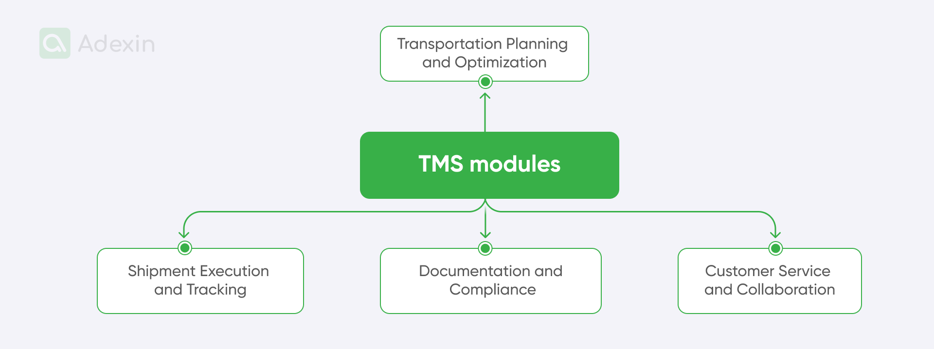 TMS modules
