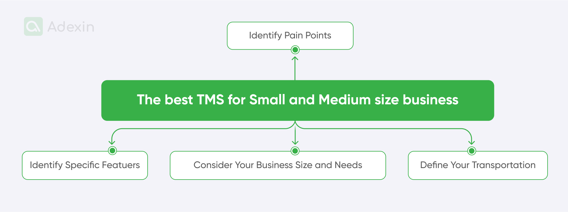 Criteria for choosing a TMS software