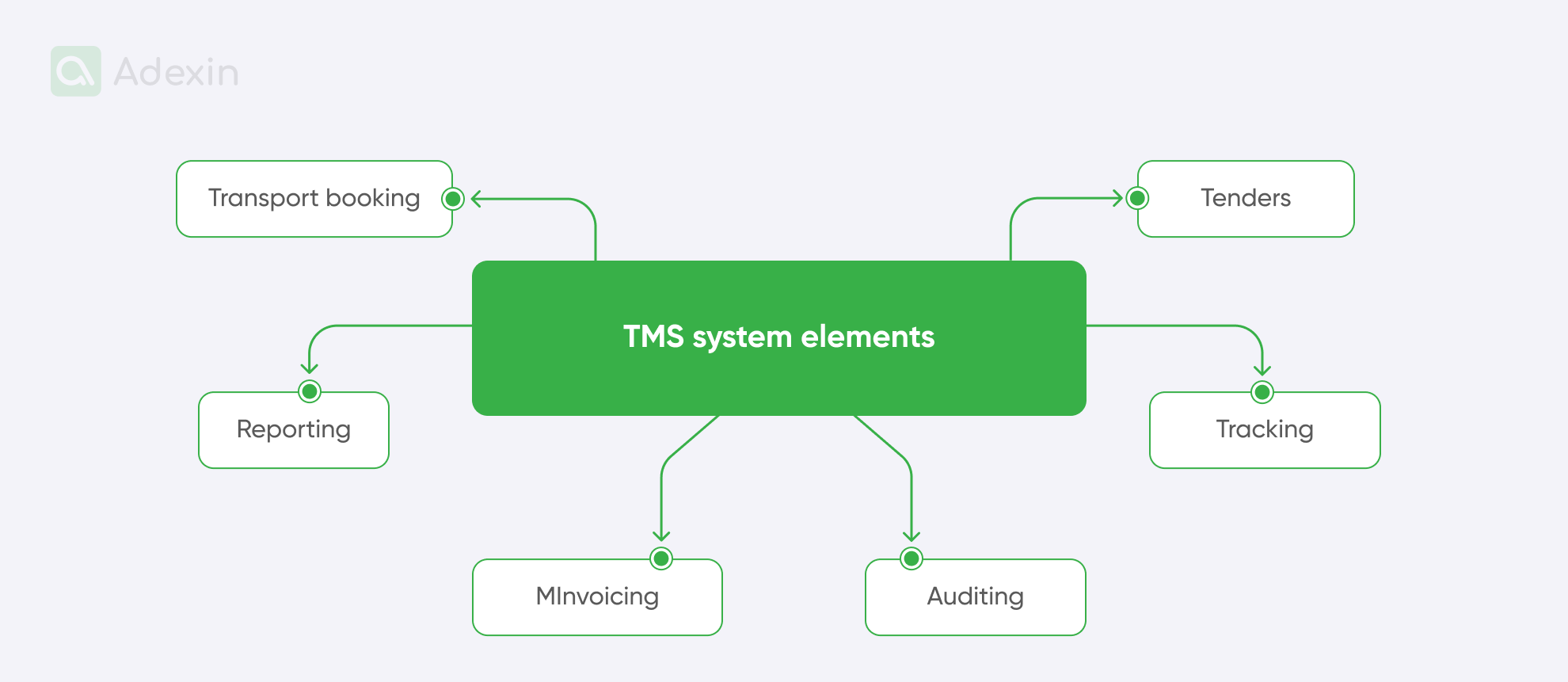TMS system elements