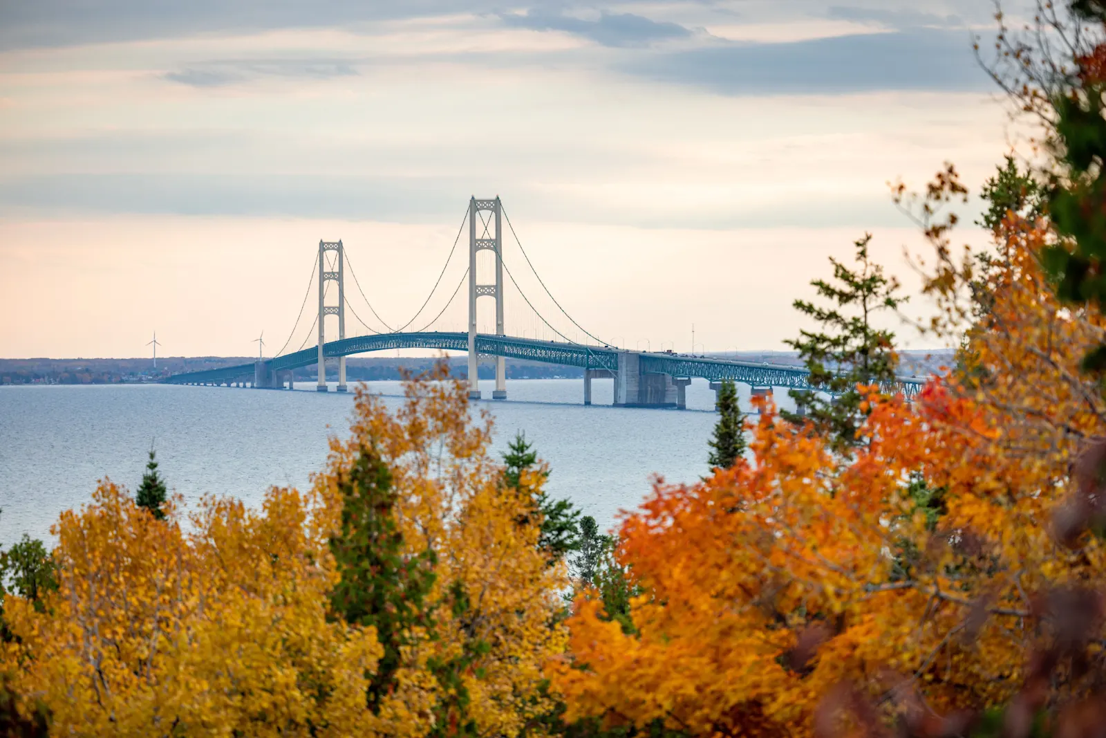 Menopause Specialists & Hormone Replacement Therapy in Michigan