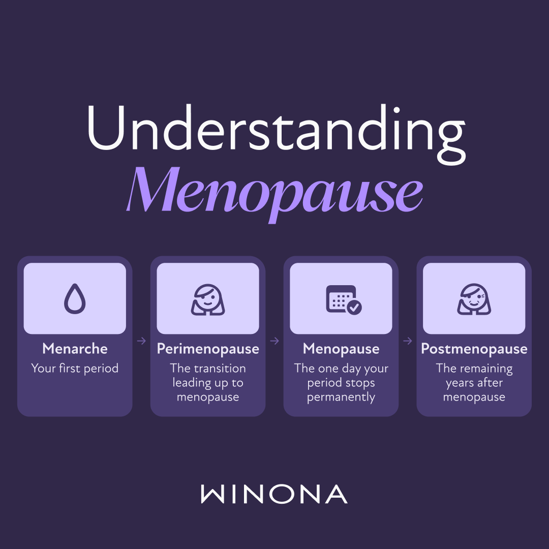 Understanding Menopause (Graphic)