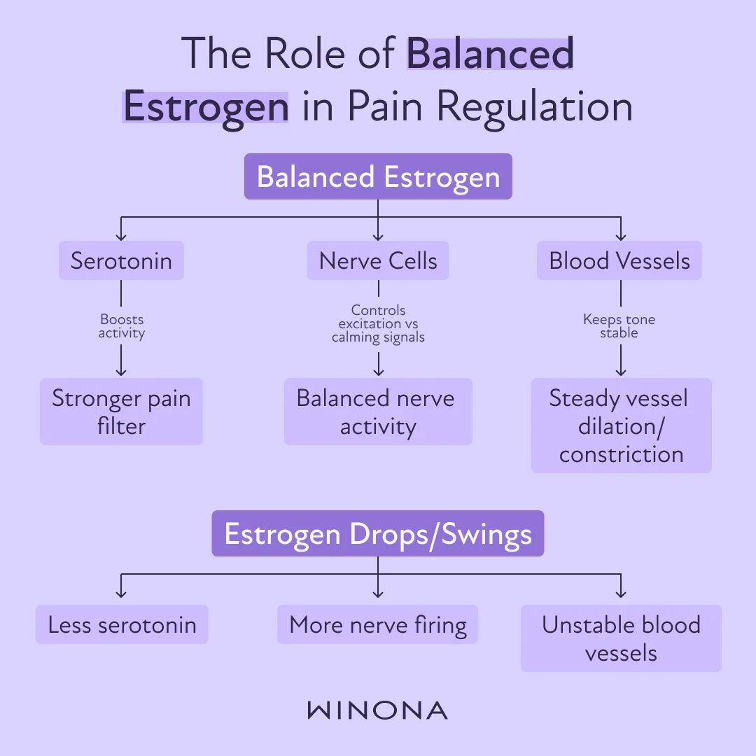 The Role of Estrogen in Pain Regulation
