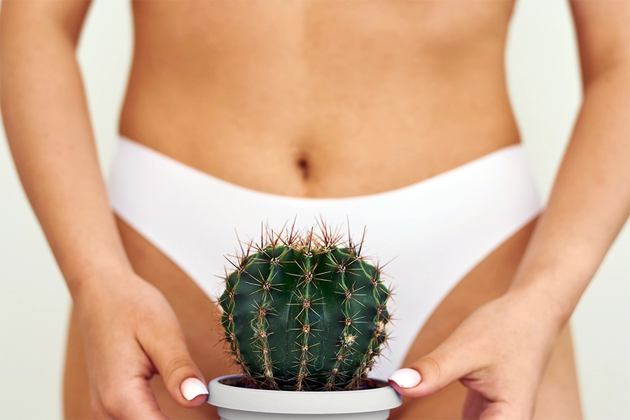 woman holding cactus near bikini area