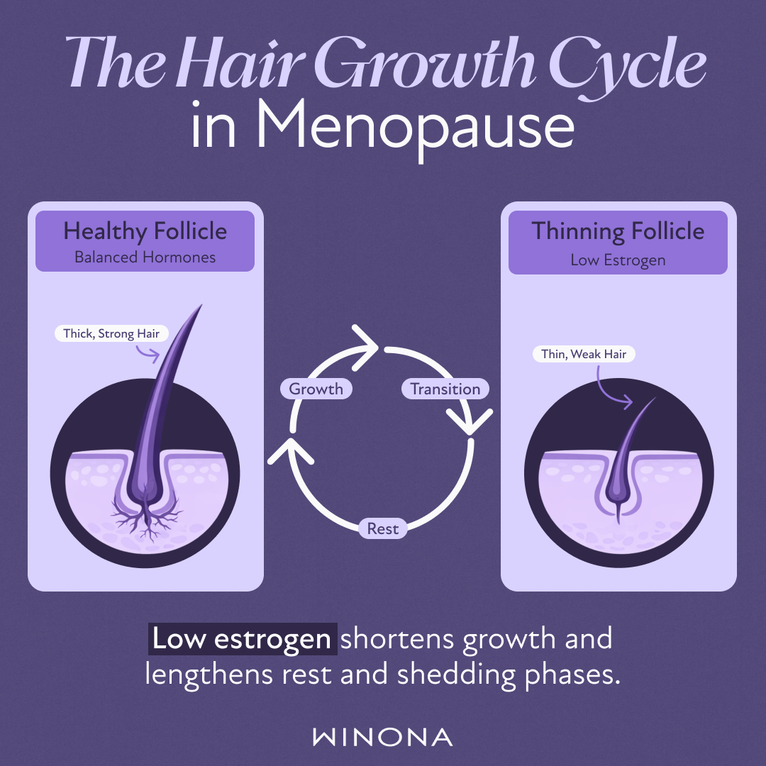 The Hair Growth in Menopause.