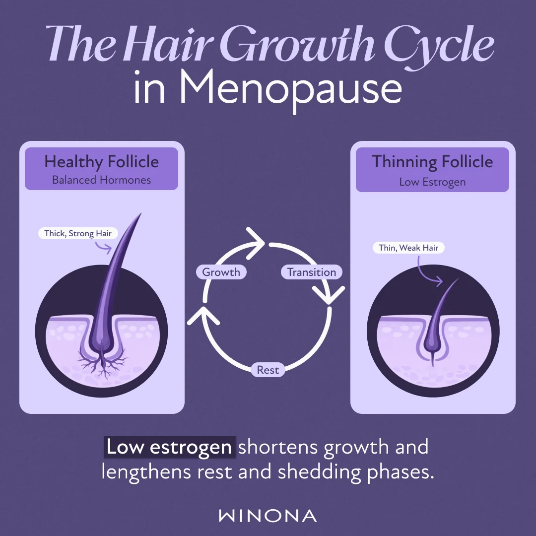 The Hair Growth in Menopause.