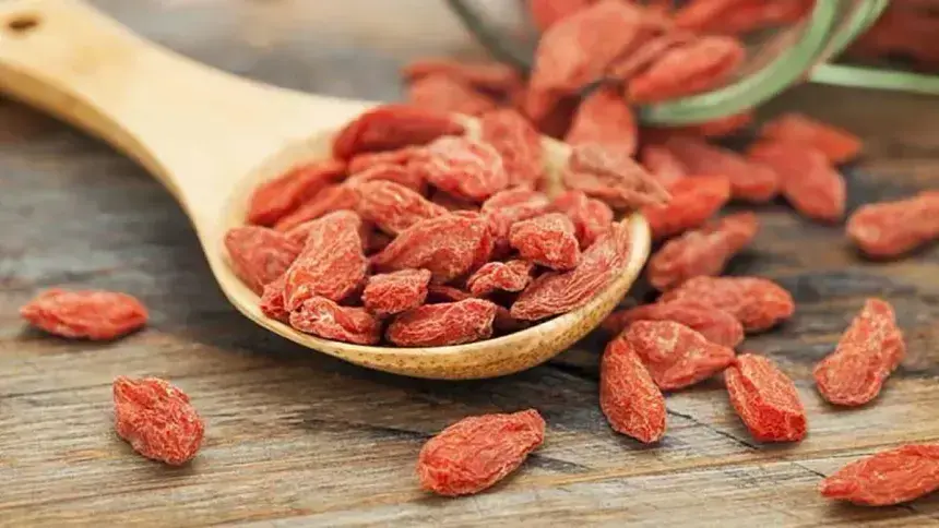 bayas-de-goji-img