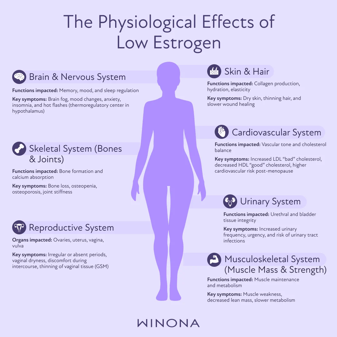 The Physiological Effects of Low Estrogen