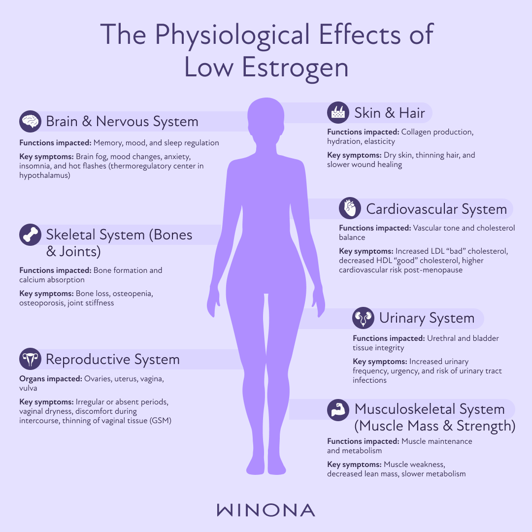 The Physiological Effects of Low Estrogen