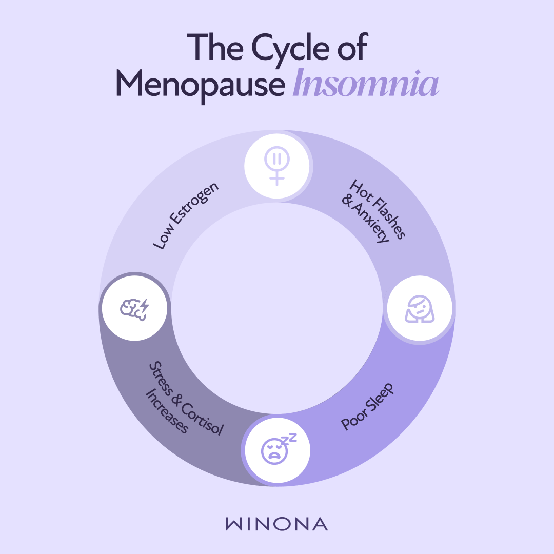 The Cycle of Menopause Insomnia