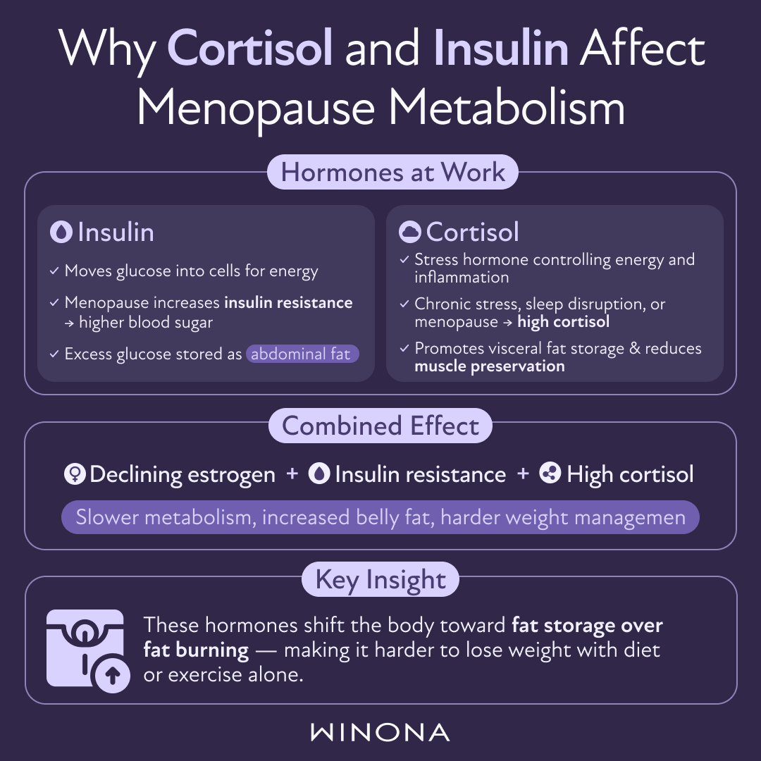 Why Cortisol and Insulin Affect Menopause Metabolism