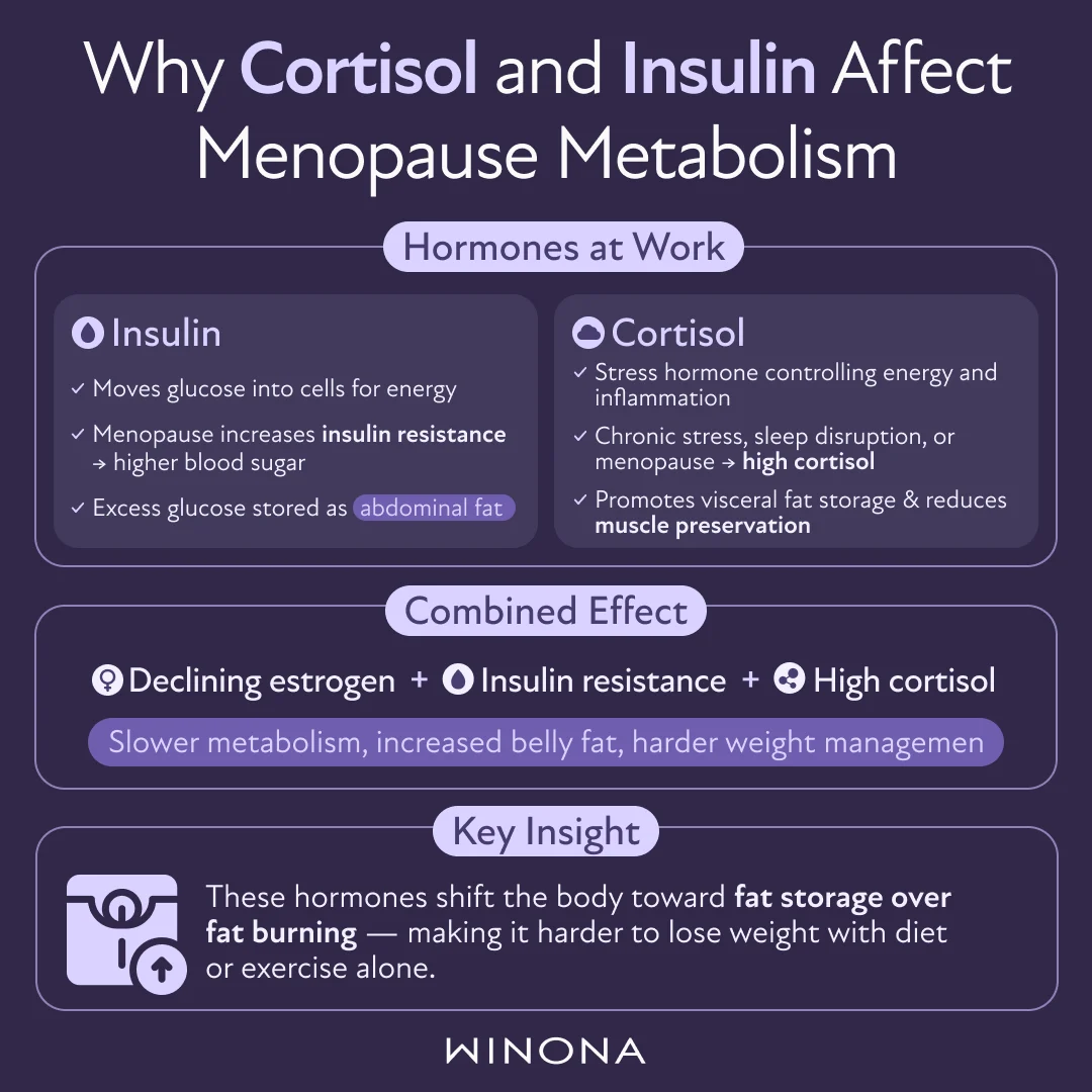 Why Cortisol and Insulin Affect Menopause Metabolism