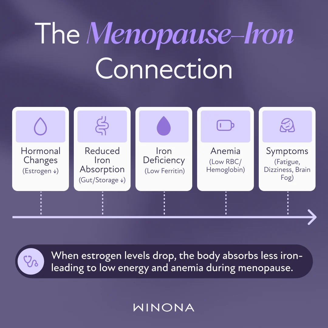 The Menopause–Iron Connection (Cause-to-Effect Diagram)