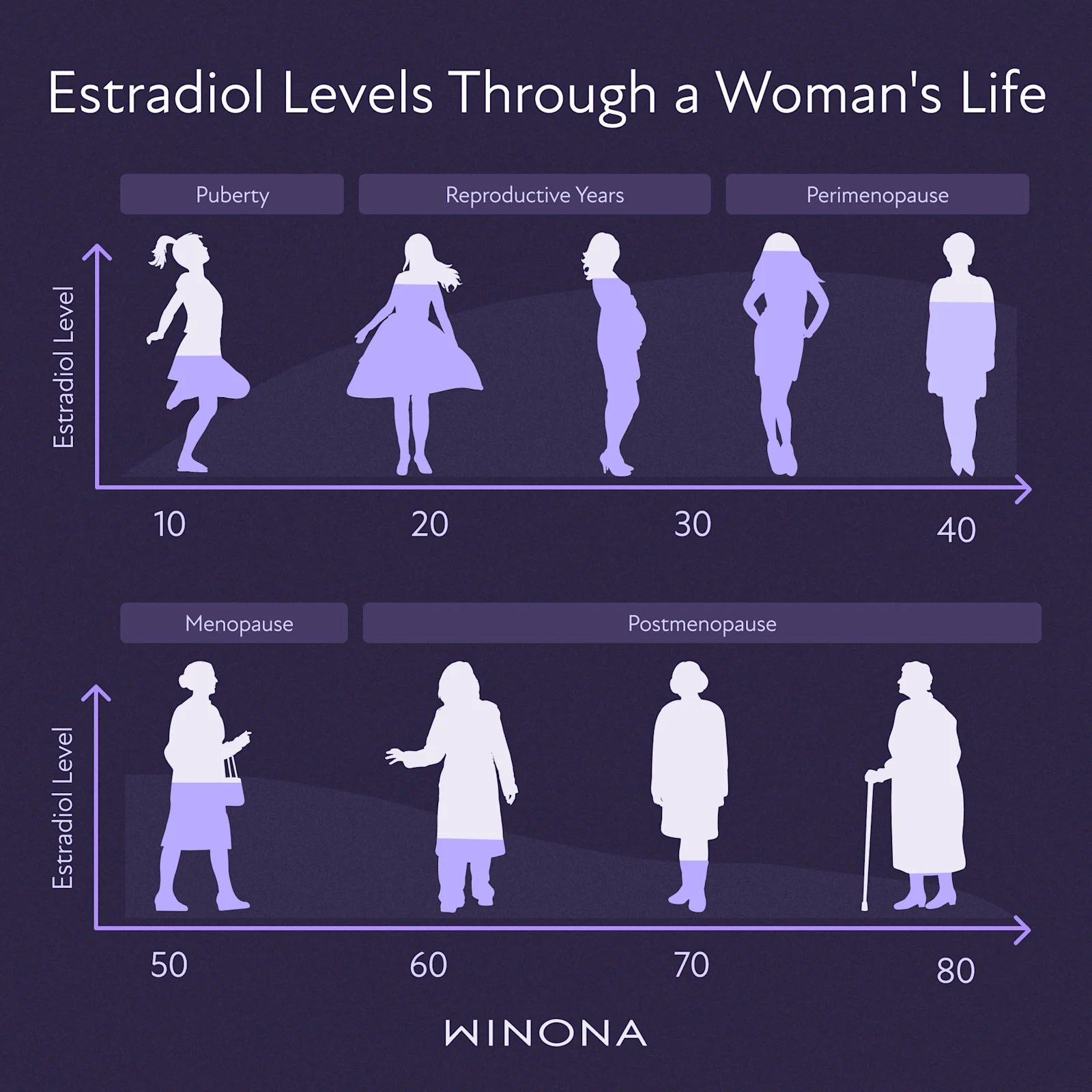 Estradiol Levels Through a Womans Life