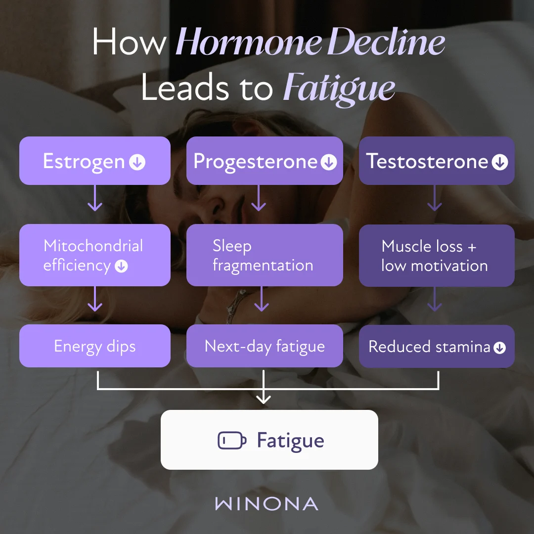 How Hormone Decline Leads to Fatigue