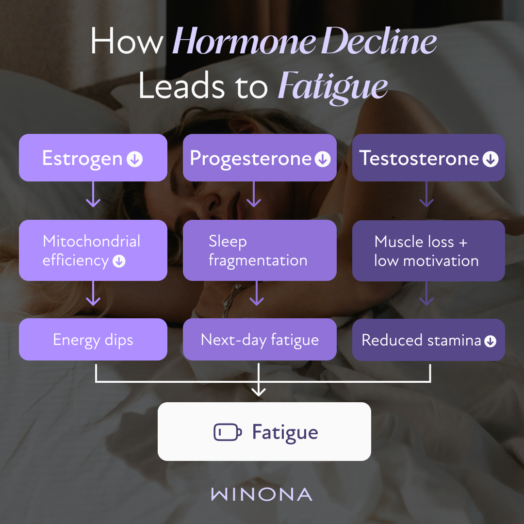 How Hormone Decline Leads to Fatigue