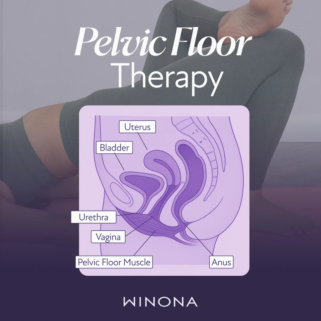Pelvic Floor Therapy