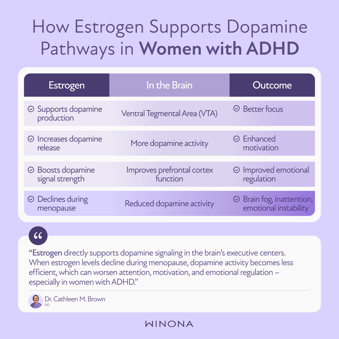 How Estrogen Supports Dopamine Pathways in Women with ADHD