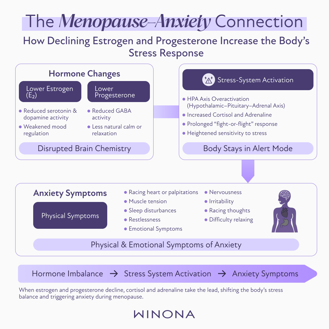 The Menopause–Anxiety Connection