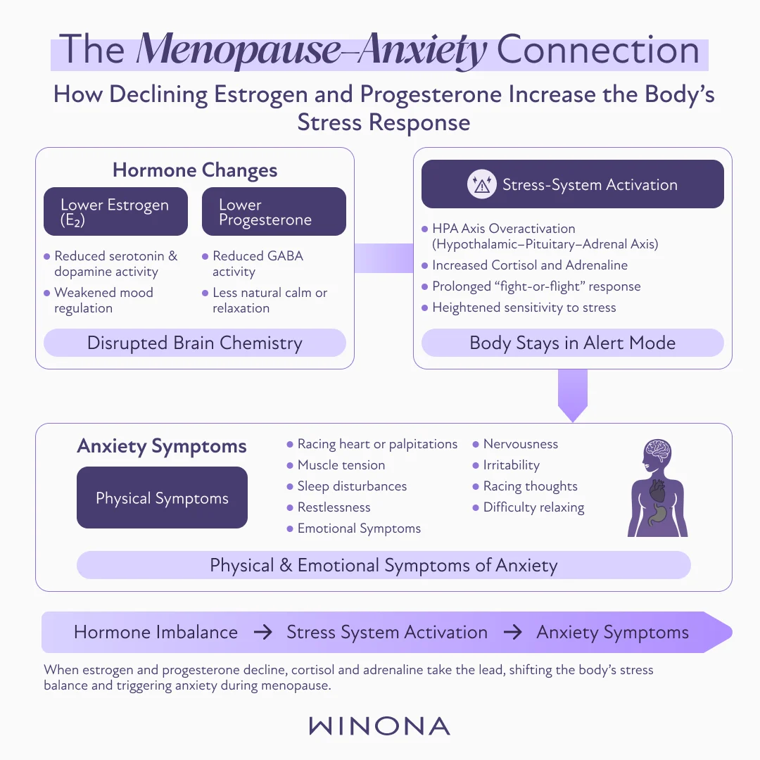 The Menopause–Anxiety Connection