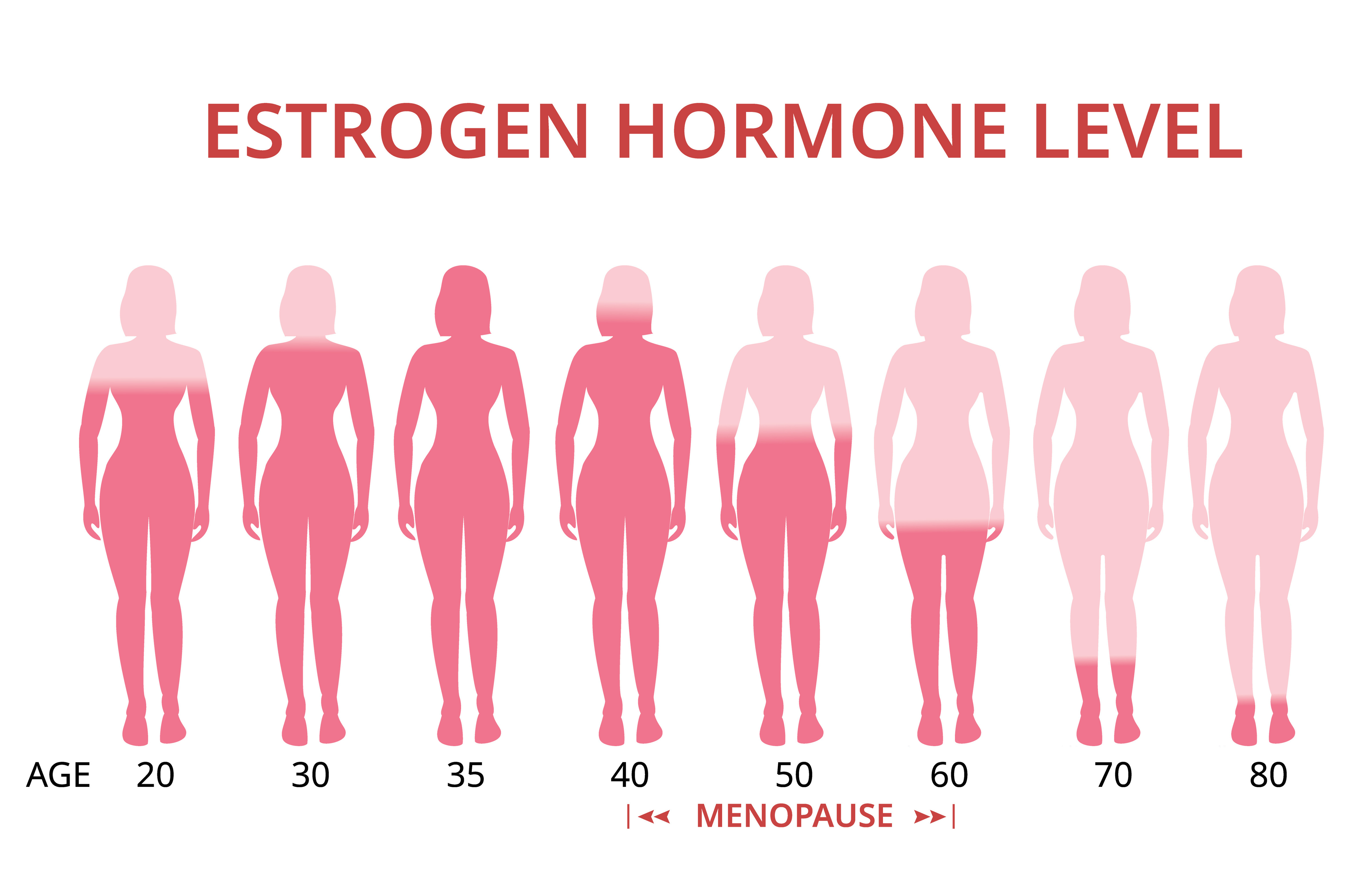 Организм после 25. Уровень эстрогена. Женщины разных возрастов. Уровень эстрогена у женщин с возрастом. Снижение уровня эстрогенов.