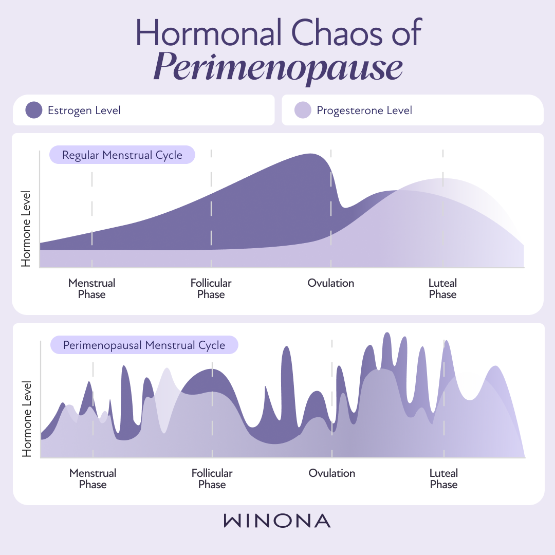 Hormonal Chaos of Perimenopause