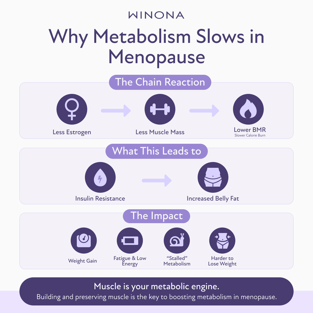Why Metabolism Slows in Menopause