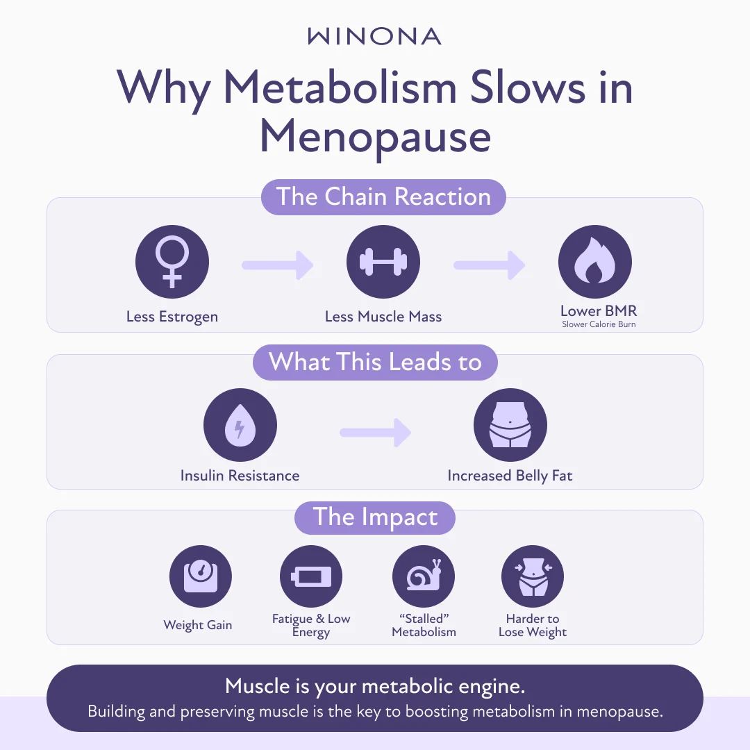 Why Metabolism Slows in Menopause