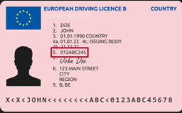 European Driving License B