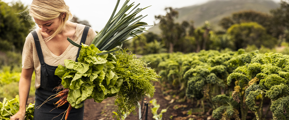 Farm Safely This Spring