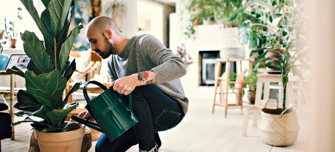 sustainable_at_home_mainBody